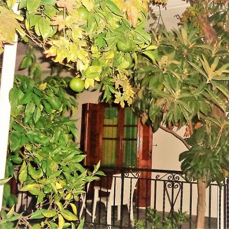 Jenny's House Is Guests' Favorite Part Of * Στούπα