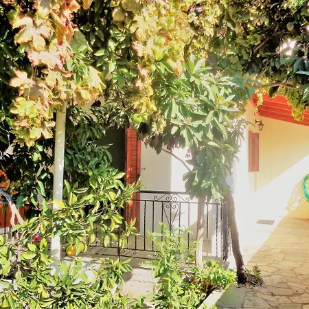 Jenny's House Is Guests' Favorite Part Of *